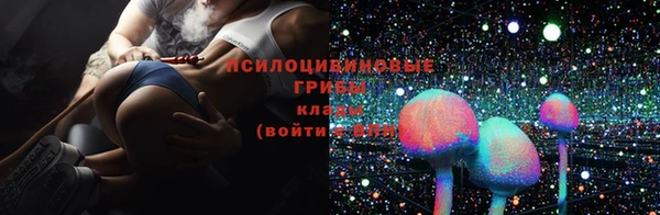 а пвп мука Бородино