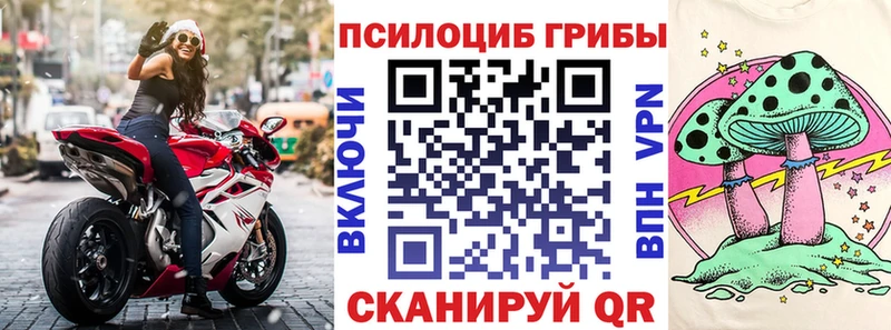 даркнет сайт Мирный Галлюциногенные грибы Cubensis